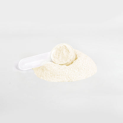 Electro-Lit Hydration Powder (Lemonade)